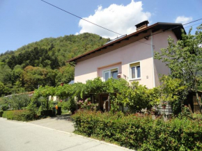 APP KAROLINA, Tolmin